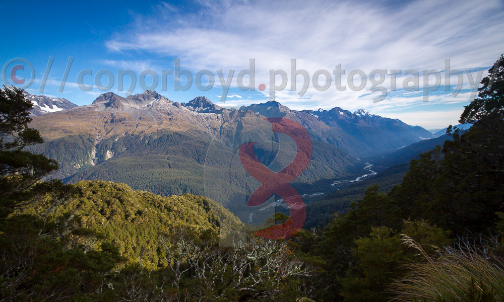 Hollyford Valley with Mt Tutoko far right